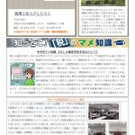 事務所通信「月刊パクチー」2025年7月号