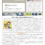 事務所通信「月刊パクチー」2025年12月号