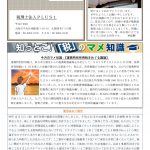 事務所通信「月刊パクチー」2026年1月号