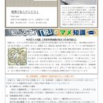 事務所通信「月刊パクチー」2026年2月号